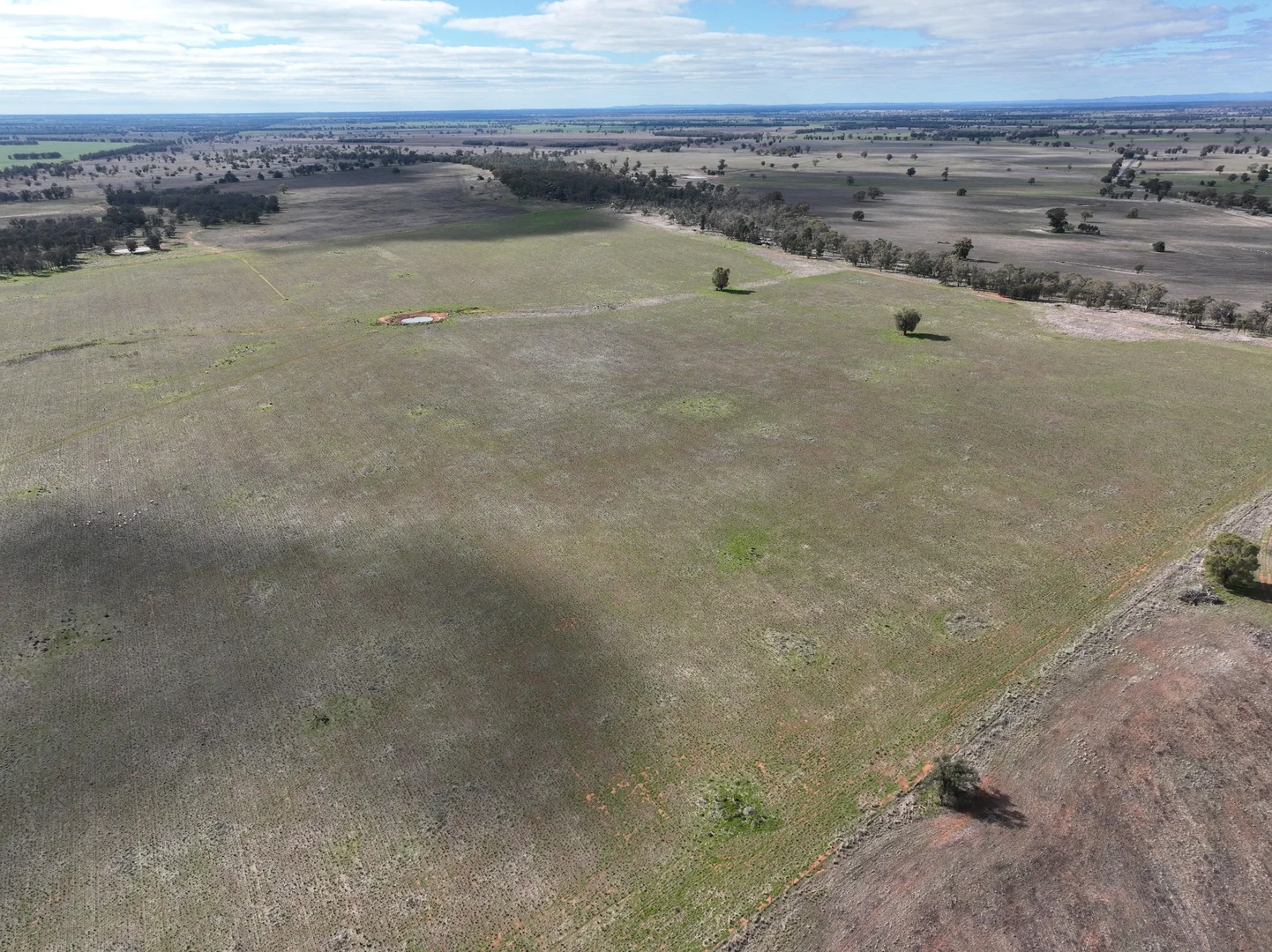 Additional image 23 of 'Weemala' 2075 The McGrane Way, Tullamore NSW 2874