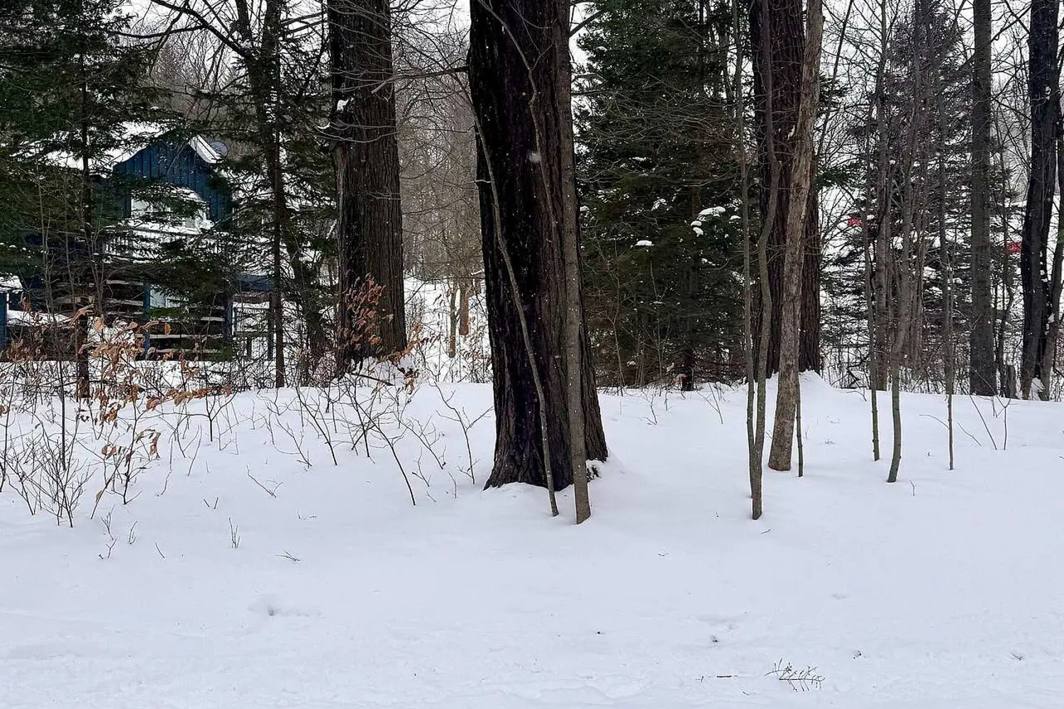 Additional image 4 of 39 Pine River Crescent