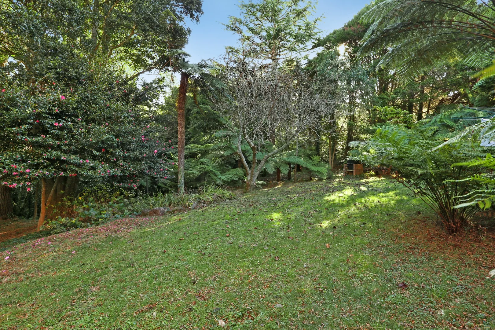 Additional image 15 of 22-24 Fountaindale Road, Robertson NSW 2577