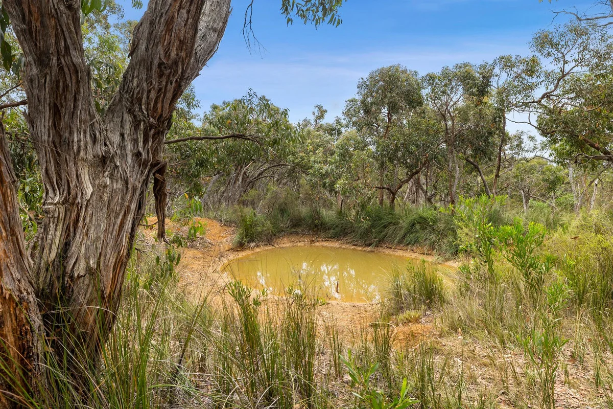 Additional image 28 of 335 Elkington Road, Bellbrae VIC 3228