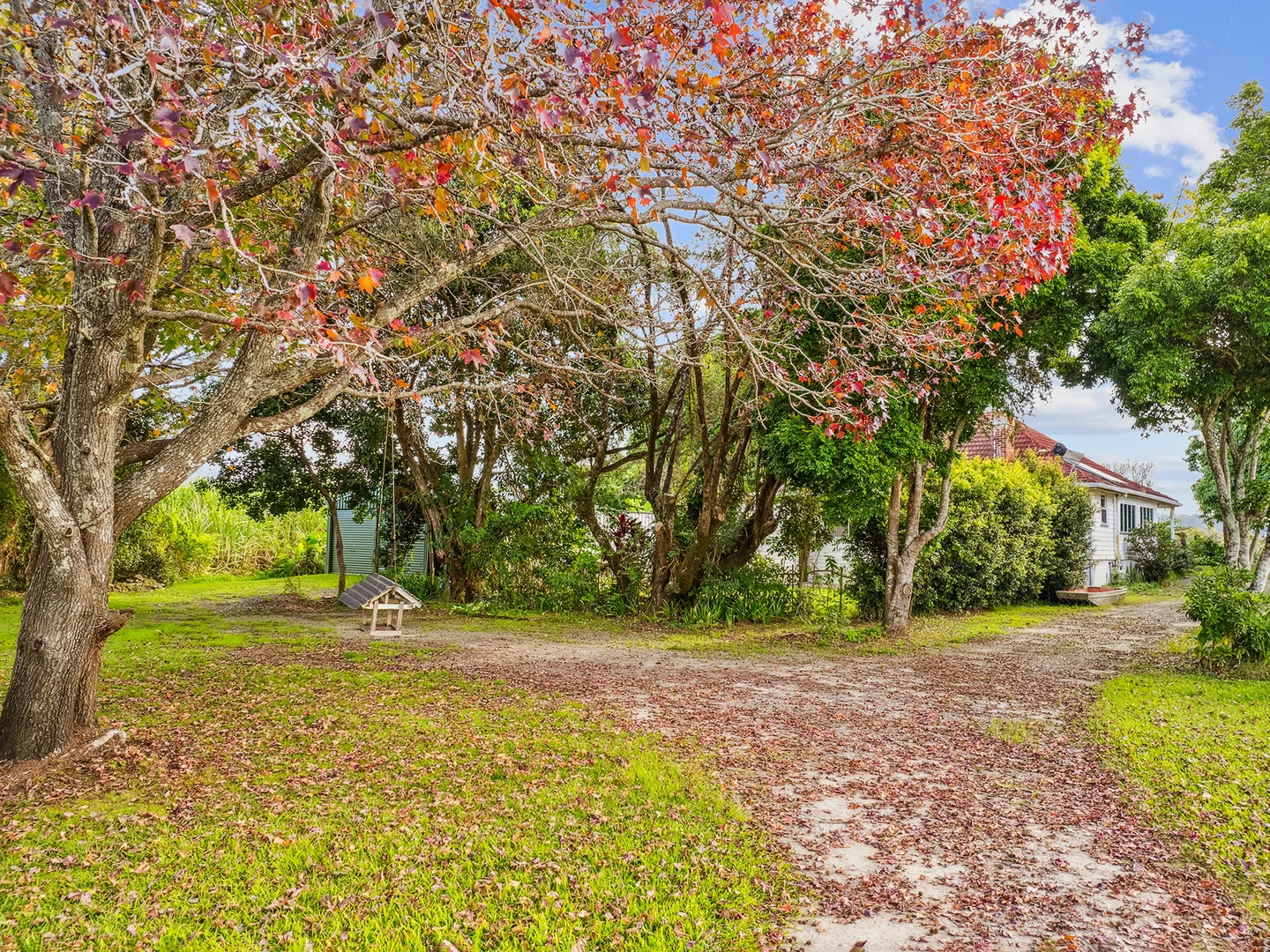 Additional image 21 of 213 North Arm Drive, Chatsworth NSW 2469