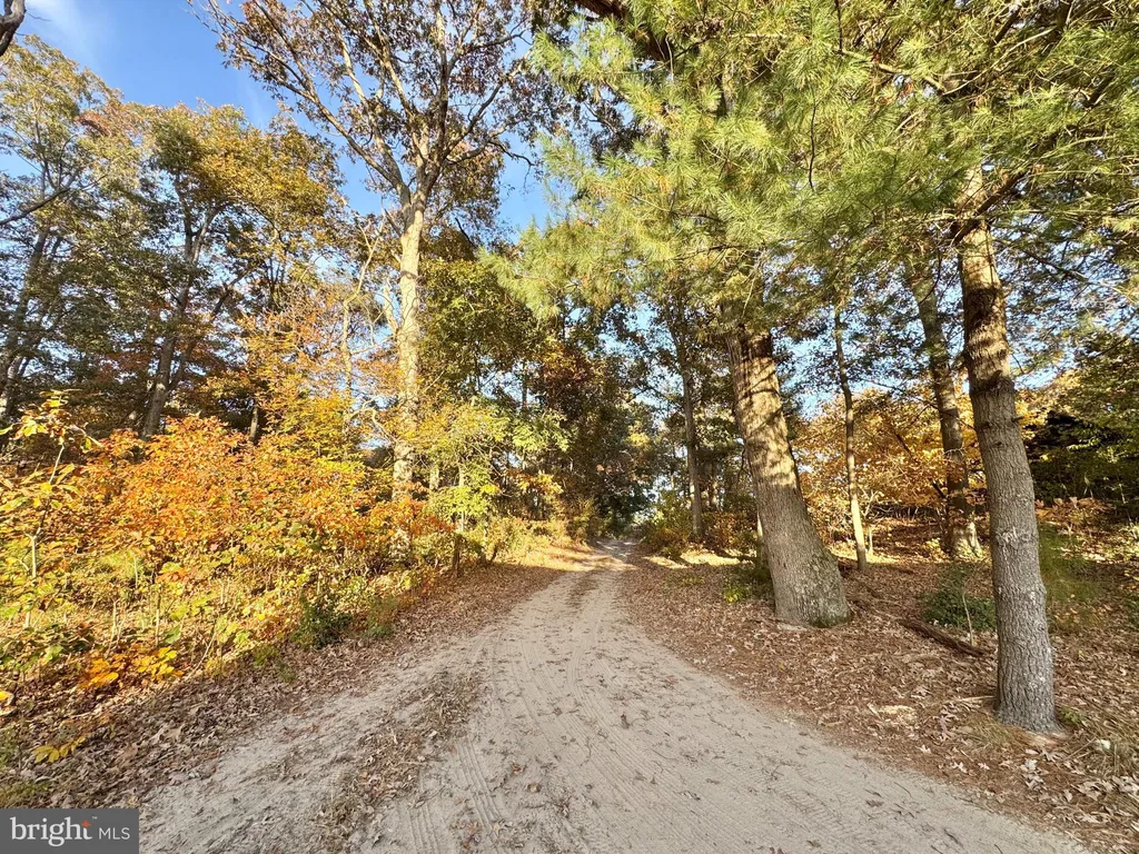 Additional image 13 of 31568 Mount Pleasant Road, Laurel, DE 19956