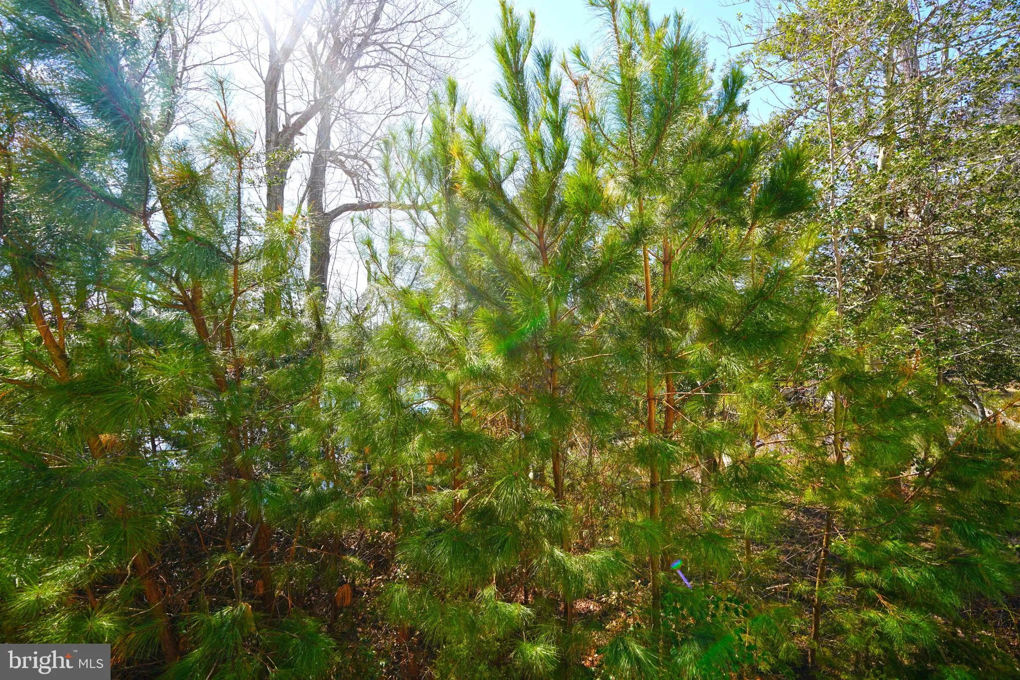 Additional image 88 of 37520 Worcester Drive, Rehoboth Beach, DE 19971