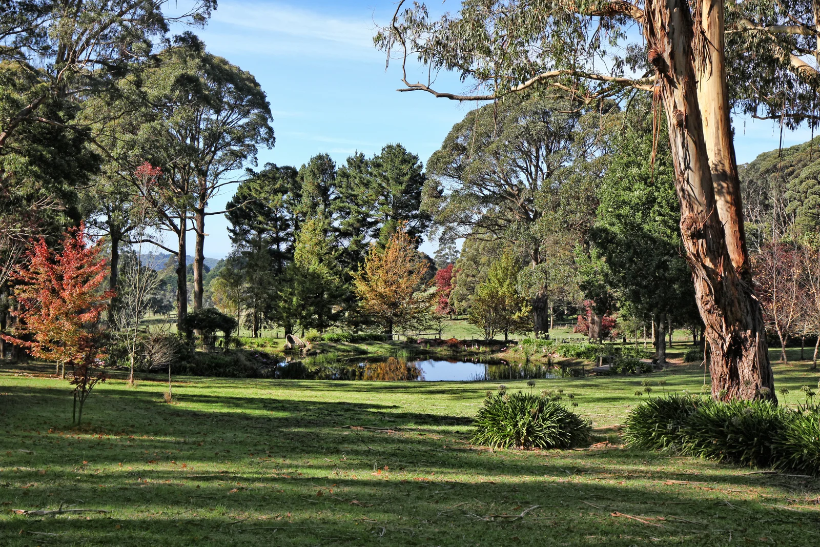 Additional image 27 of 123 Hesket-Boundary Road, Hesket VIC 3442