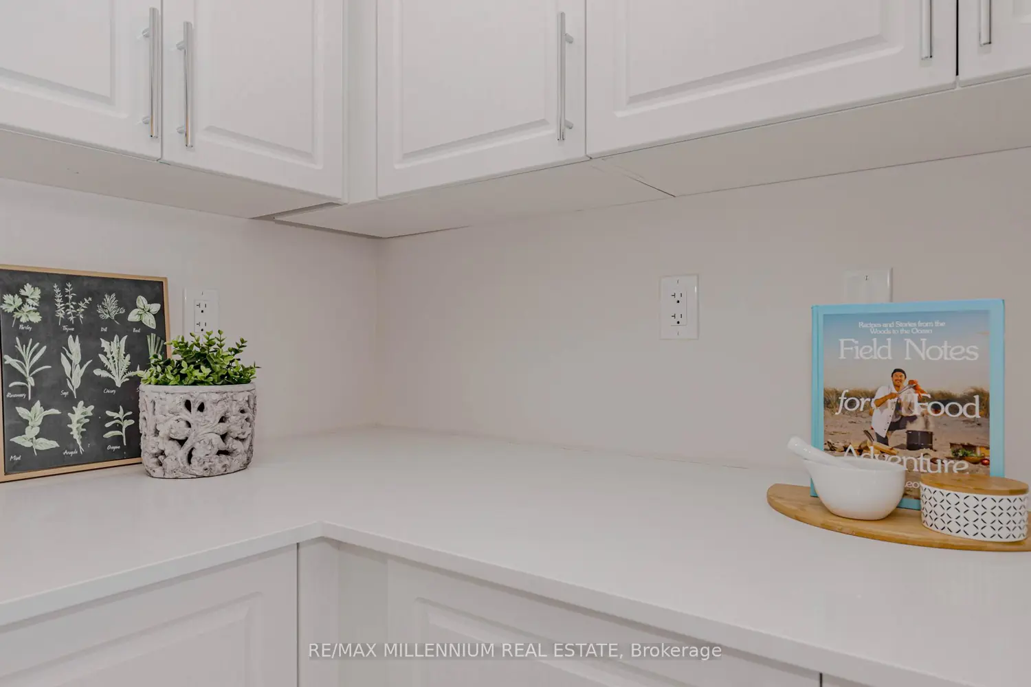 Additional image 7 of 25 Sapwood Crescent