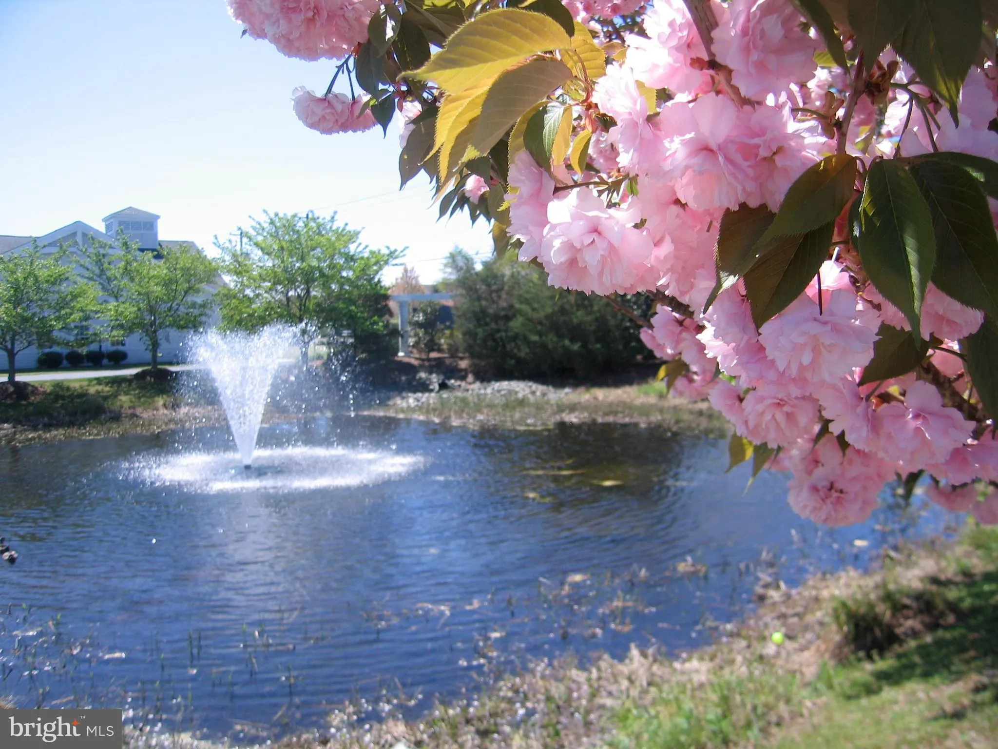 Additional image 97 of 30611 Cedar Neck Road Unit 2104, Ocean View, DE 19970