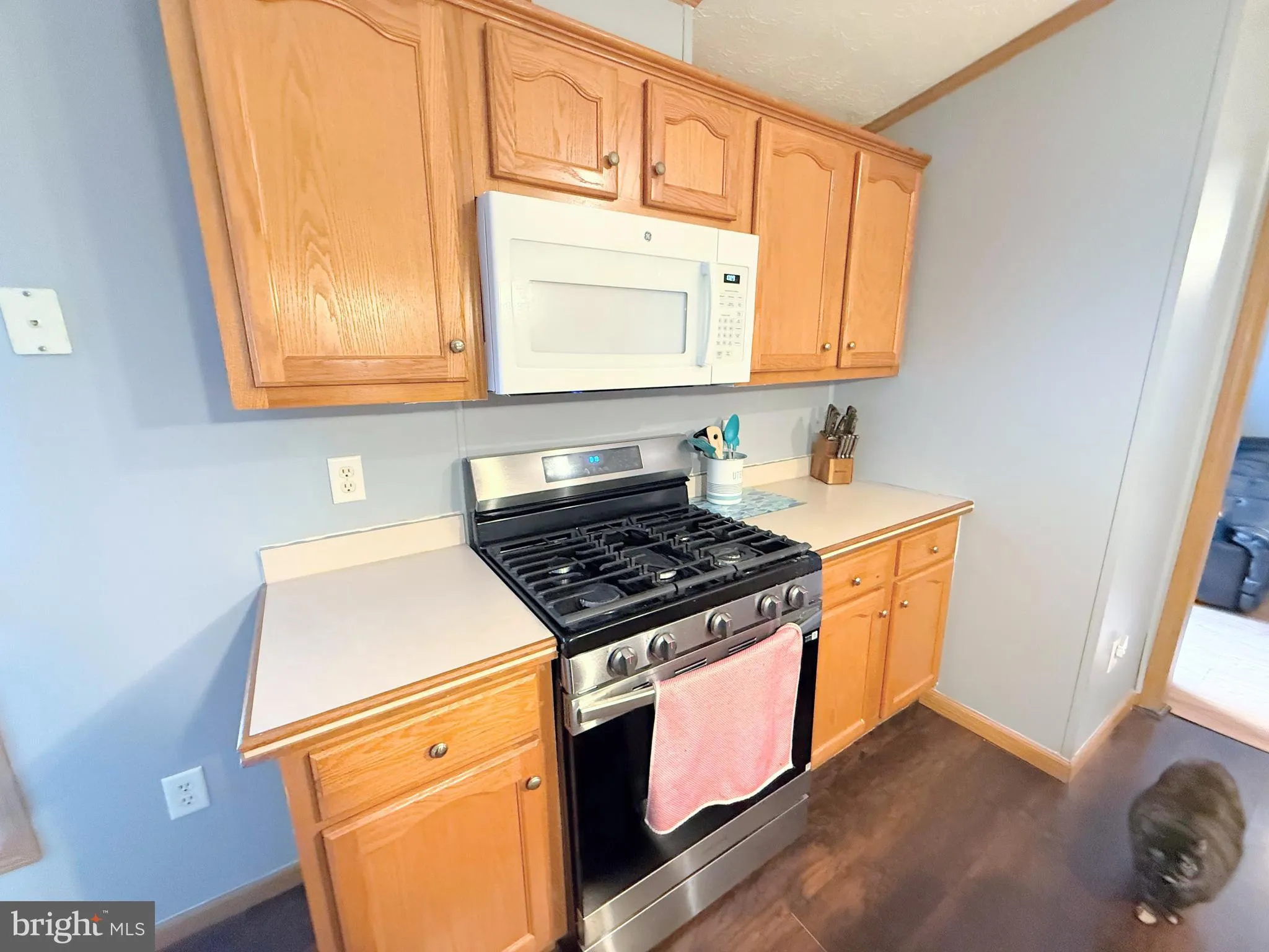 Additional image 56 of 26603 Whitewater Cove Unit 3087, Long Neck, DE 19966