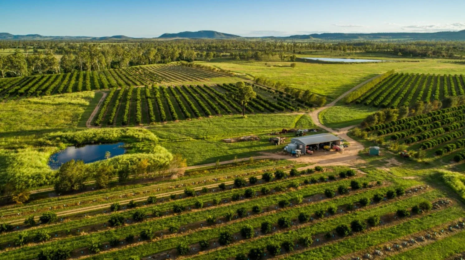 Reids Creek QLD 4625