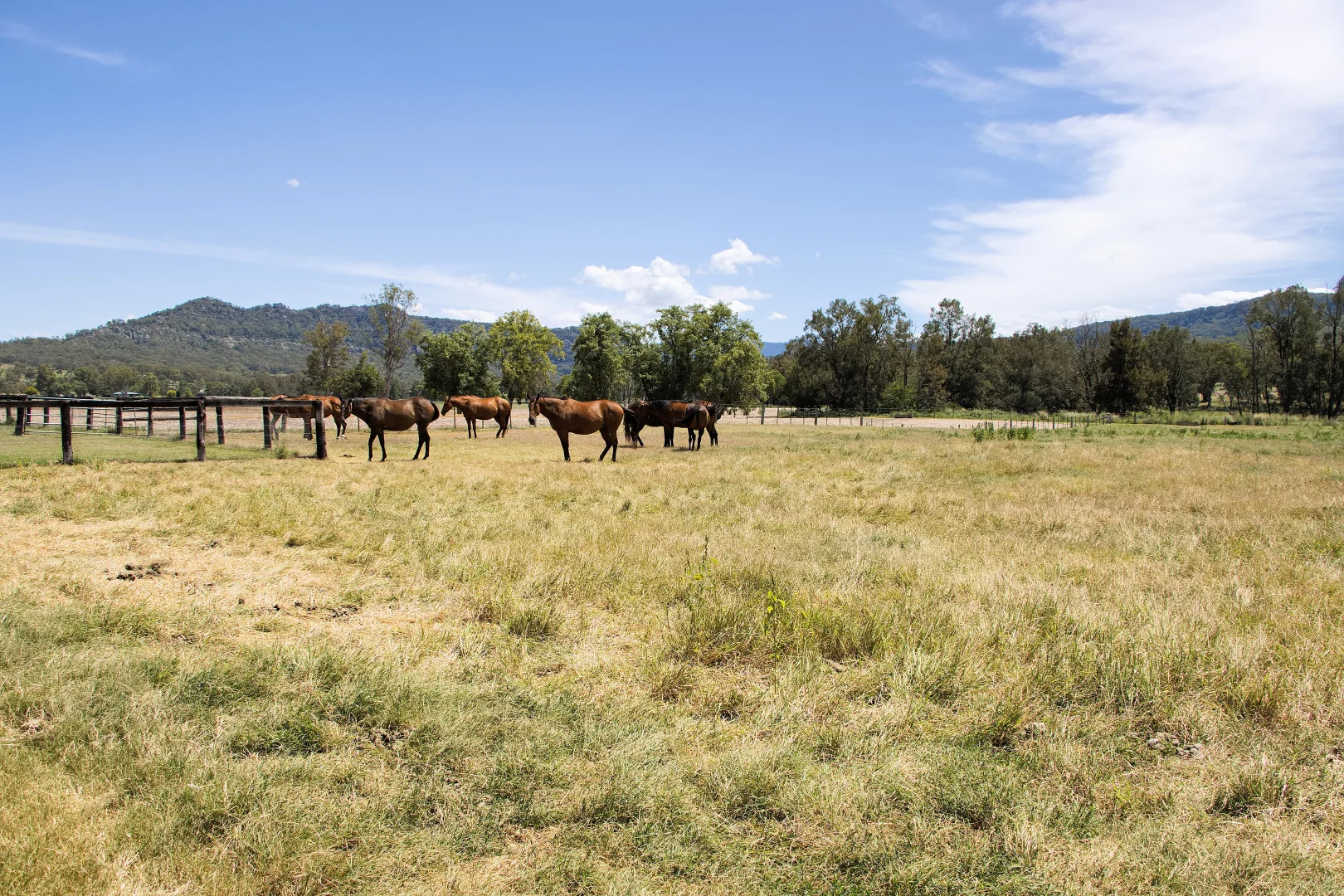Additional image 39 of 1 New England Highway, Wingen NSW 2337
