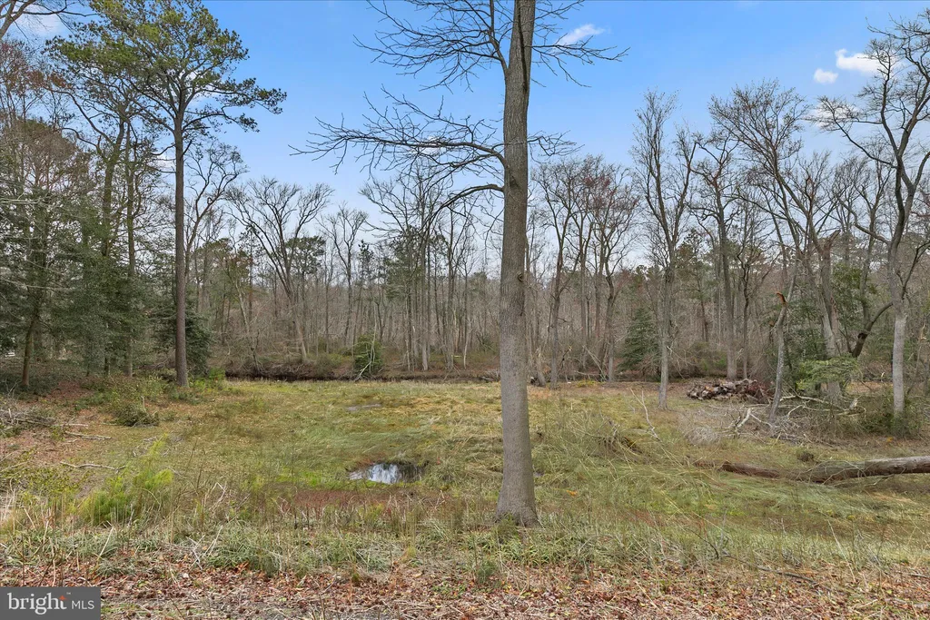 Additional image 72 of 31915 Elizabeth Drive, Dagsboro, DE 19939