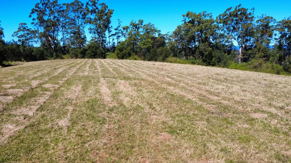 Additional image 6 of 110B Baileys Road, Telegraph Point NSW 2441