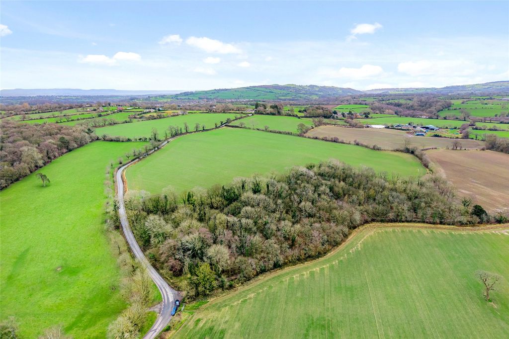 Additional image 9 of Equestrian for saleLeeswood, Mold, Flintshire CH7