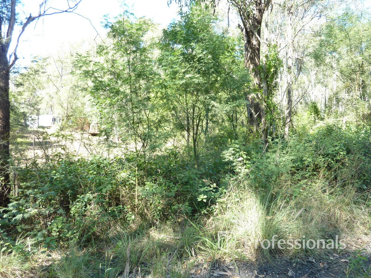 Additional image 4 of Lot 29 Victoria Street, Grantham Farm NSW 2765