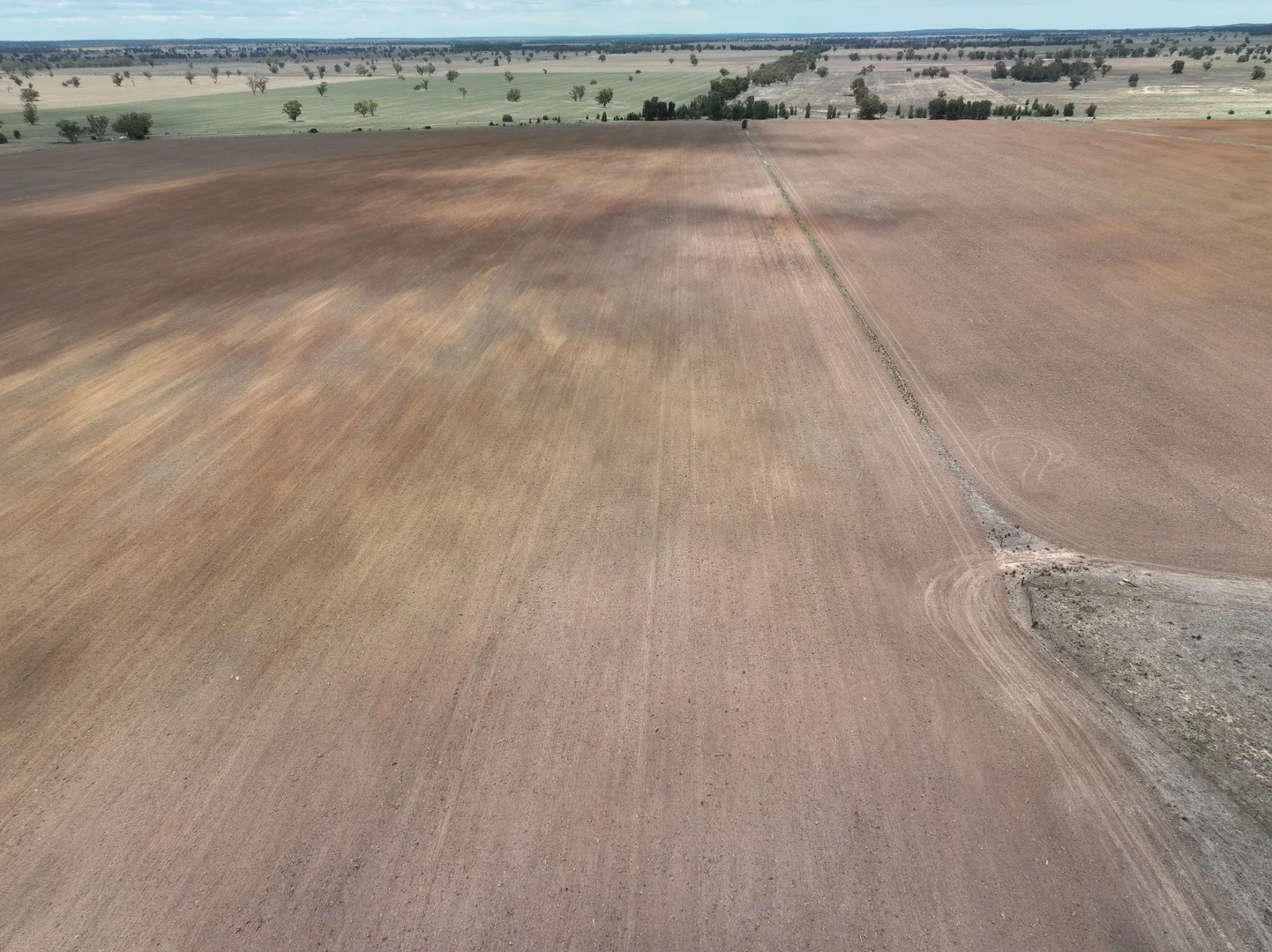 Additional image 5 of 'Weemala' 2075 The McGrane Way, Tullamore NSW 2874