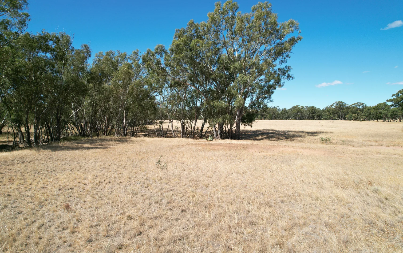 Additional image 13 of Boort-Kurting Road, Kurting VIC 3517