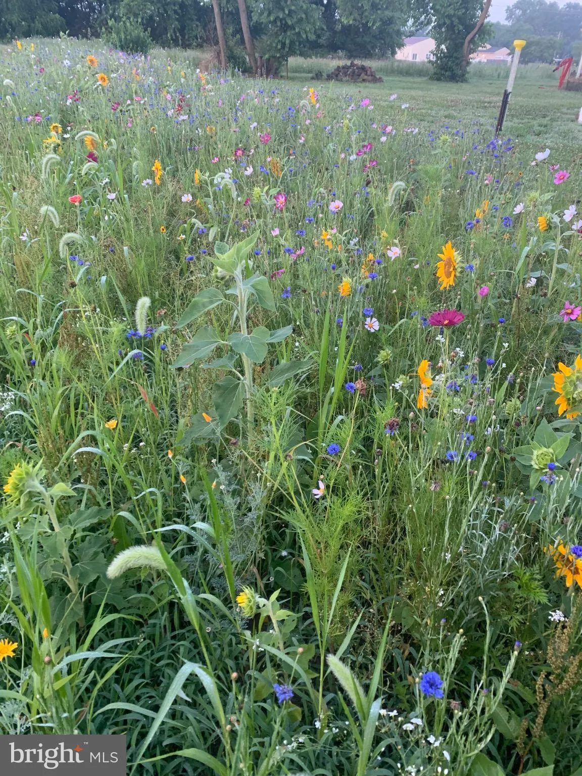 Additional image 121 of 7299 Marshall Street, Lincoln, DE 19960