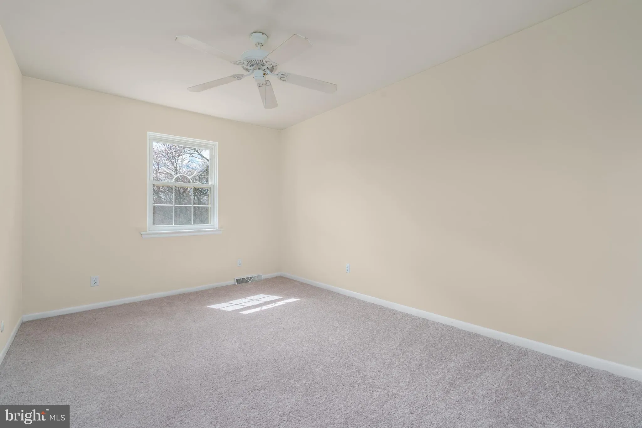 Additional image 54 of 302 2nd Street, Newark, DE 19711