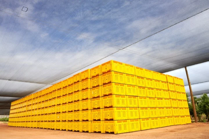 Additional image 9 of Loxton North SA 5333