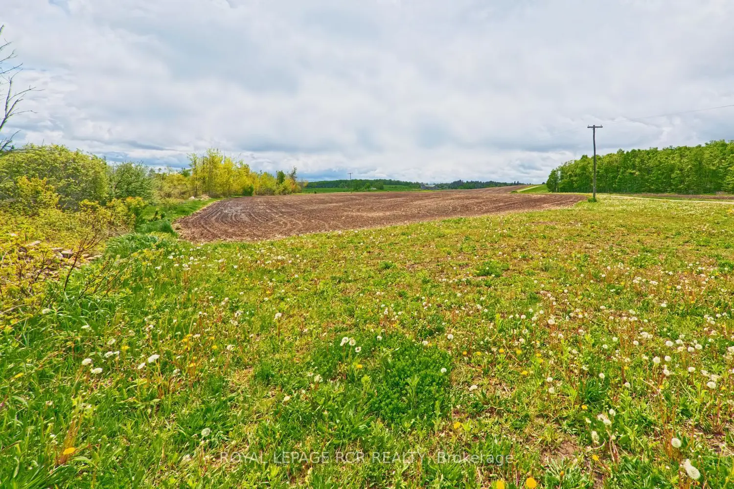 Additional image 13 of 716582 1St Line E H S