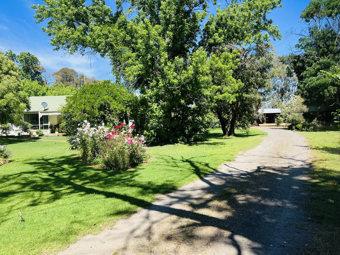 Additional image 16 of 651 Jerilderie Road, Berrigan NSW 2712
