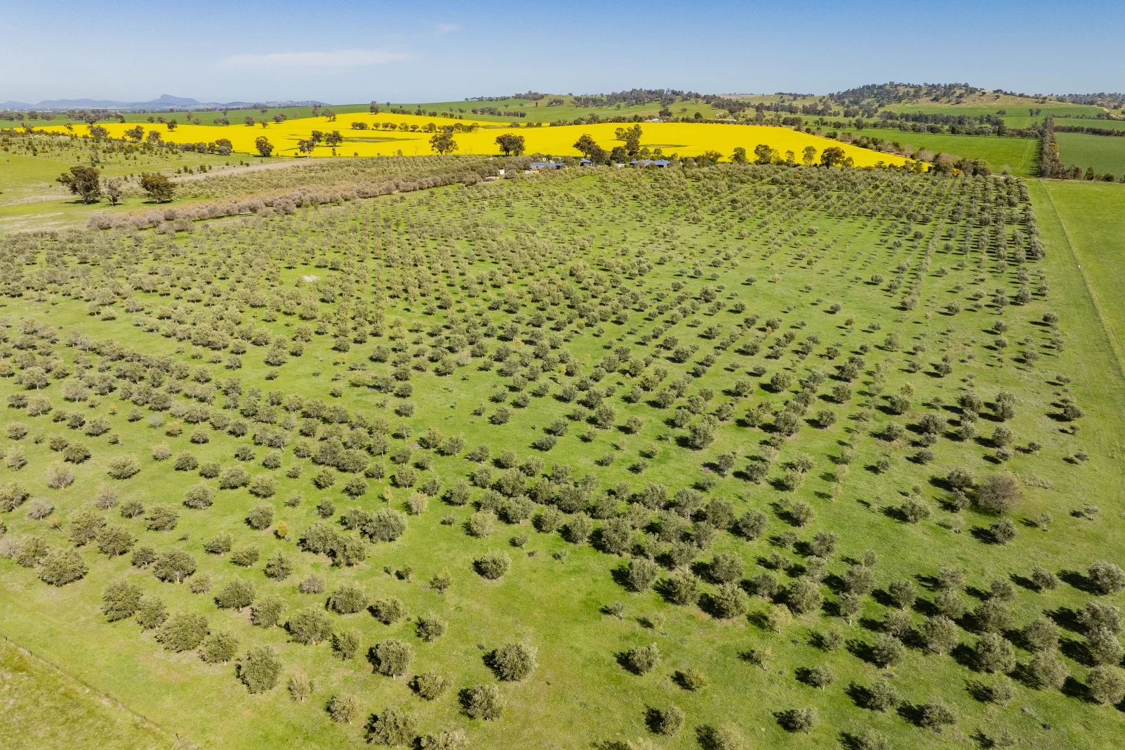 Additional image 76 of 277 Cloughs Road, Yarragundry NSW 2650