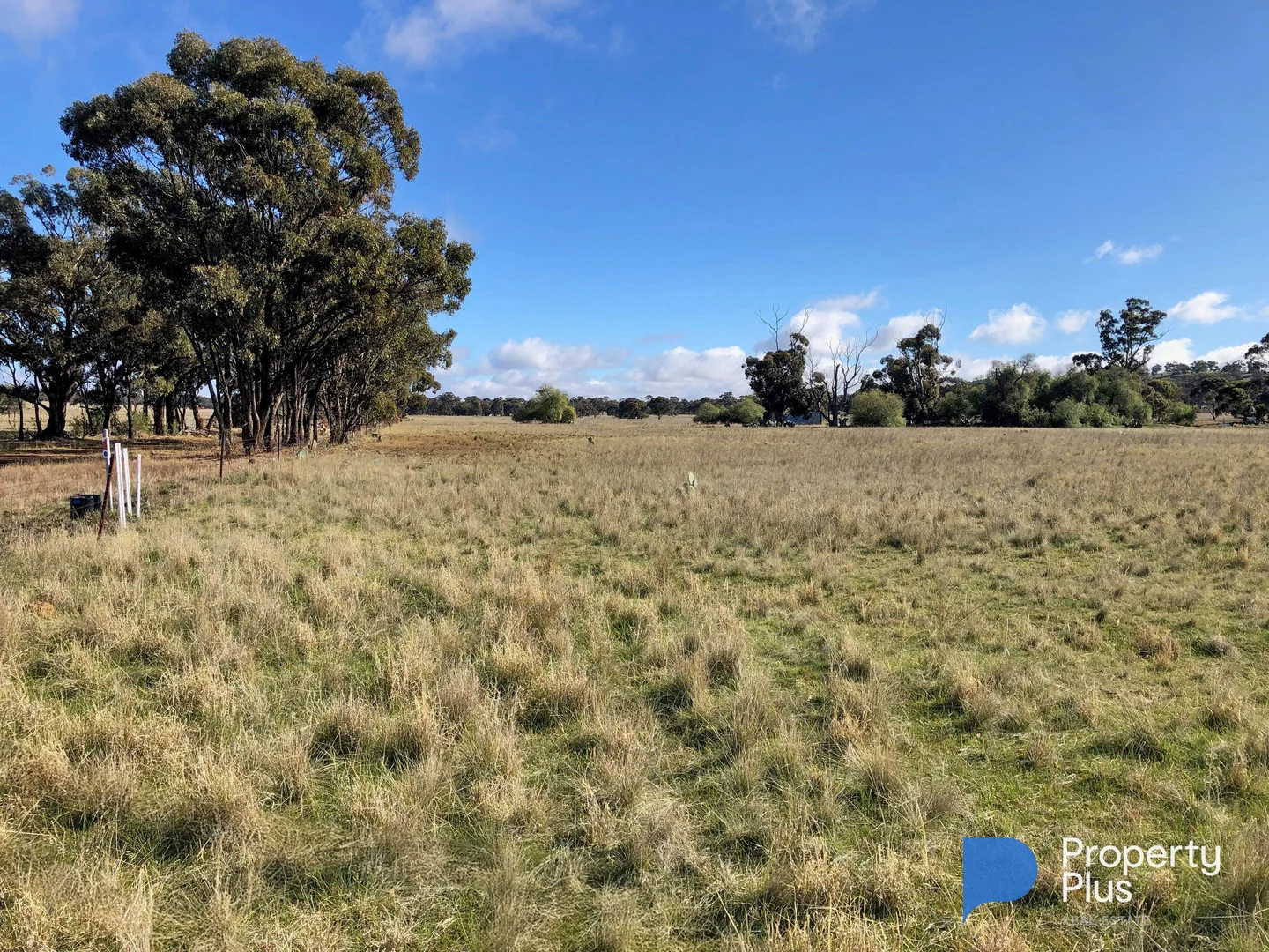 Additional image 4 of 1, 4000 Korong Vale-Wychitella Road, Woolshed Flat VIC 3518
