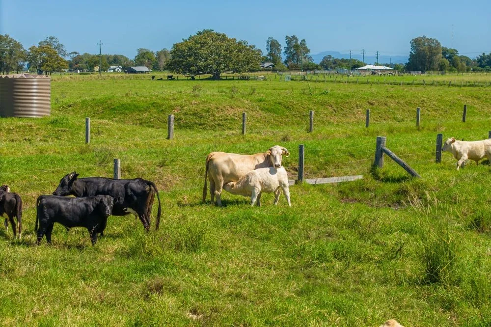 Additional image 30 of 1698 South West Rocks Road, Kinchela NSW 2440