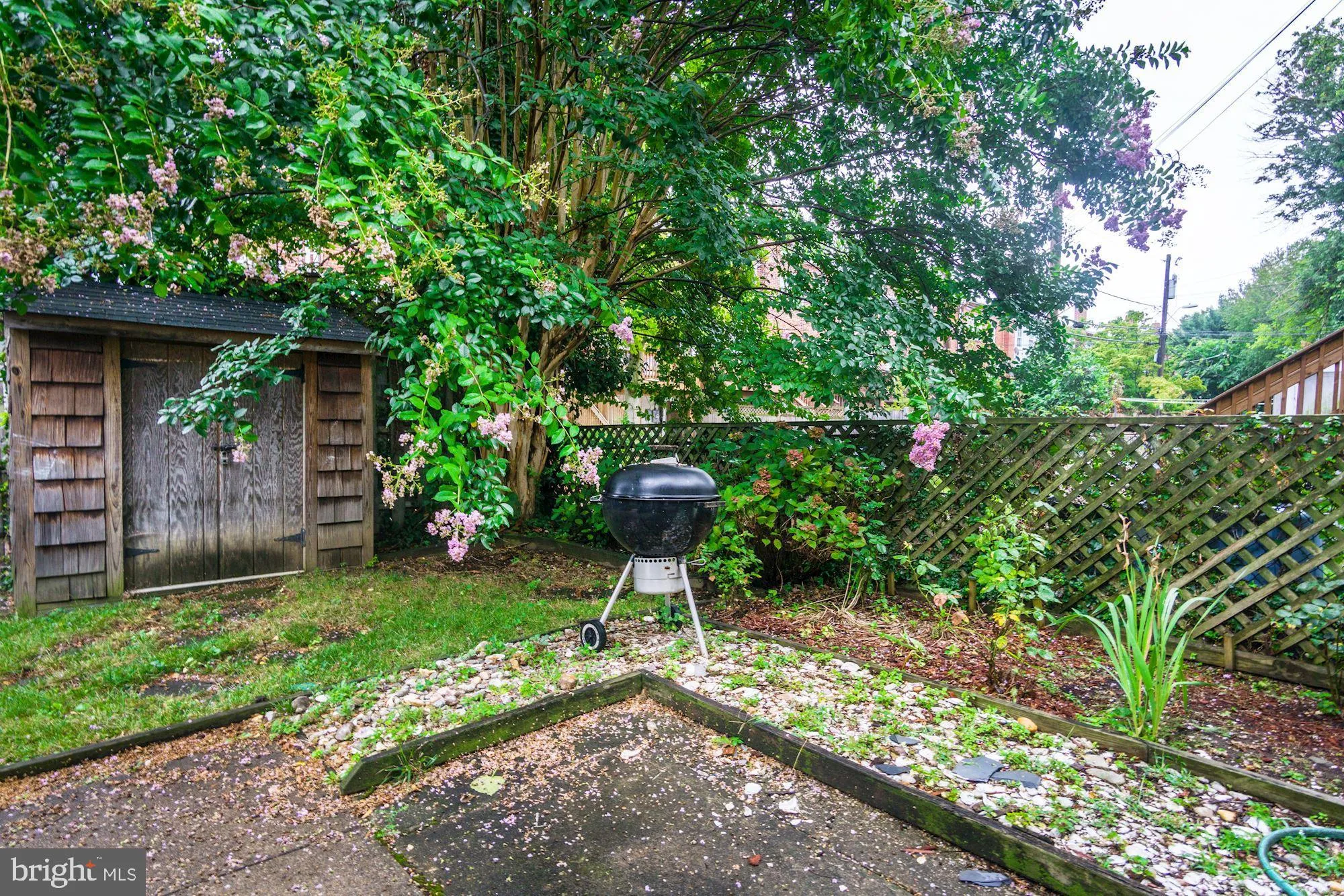 Additional image 44 of 2335 40th Street NW Unit 3, Washington, DC 20007