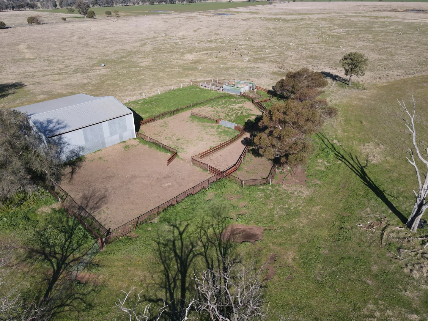 Additional image 34 of "Glenroy" 165 Bald Hills Road, Grenfell NSW 2810