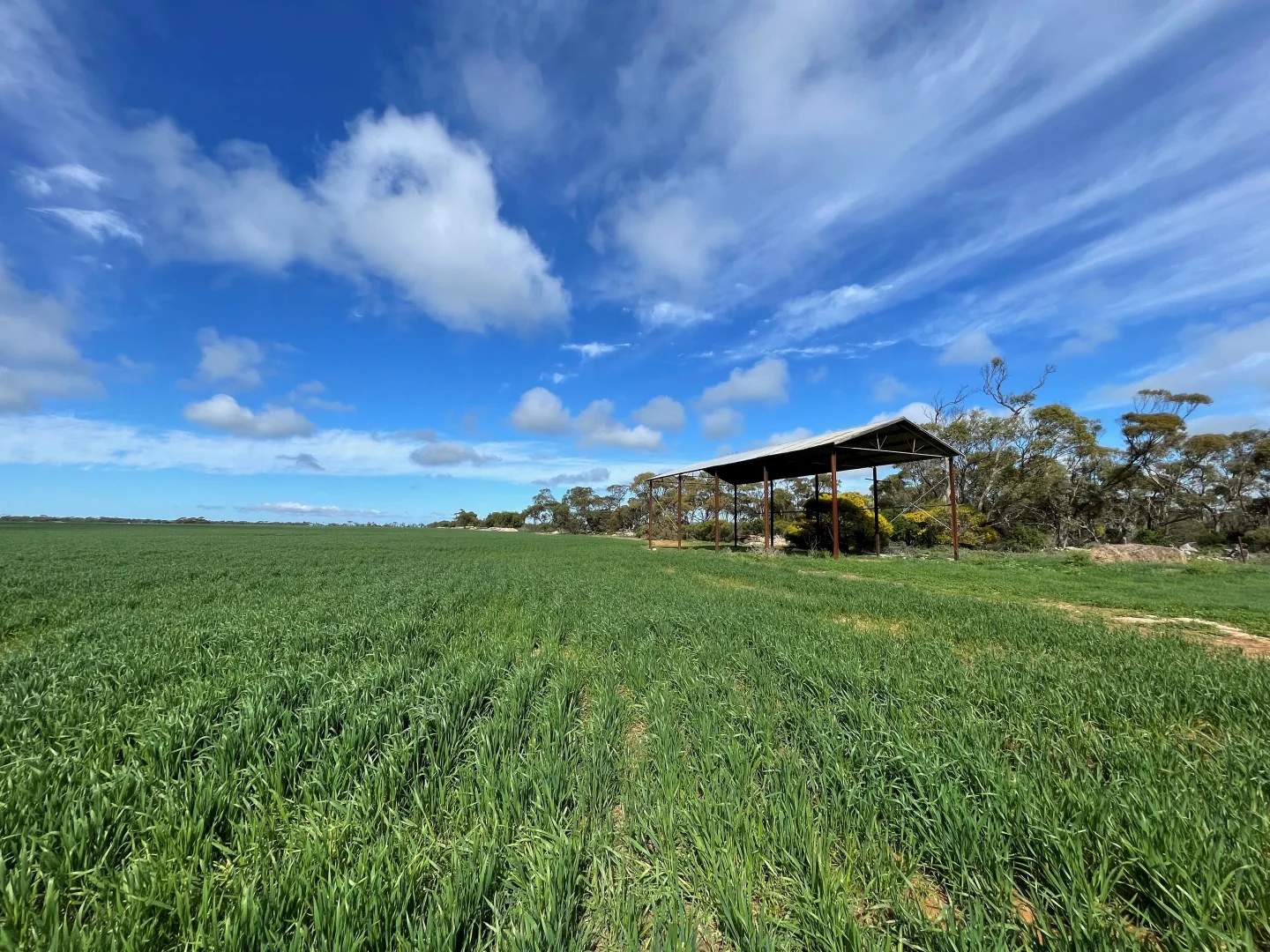 Additional image 4 of 374 Melton Pontifex Rd, Melton SA 5552