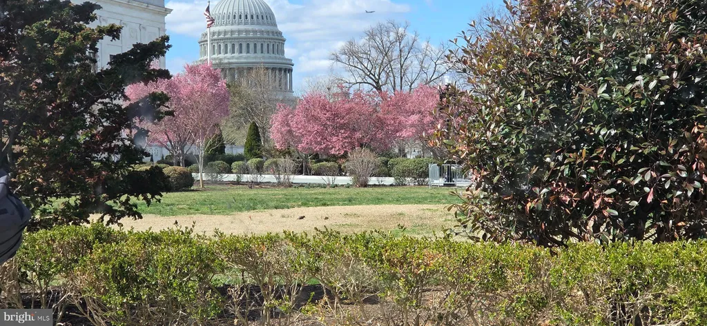 Additional image 23 of 305 C Street NE Unit 202, Washington, DC 20002