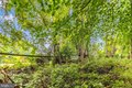 Additional image 65 of 2915 Fry Rd, Jefferson, MD, 21755