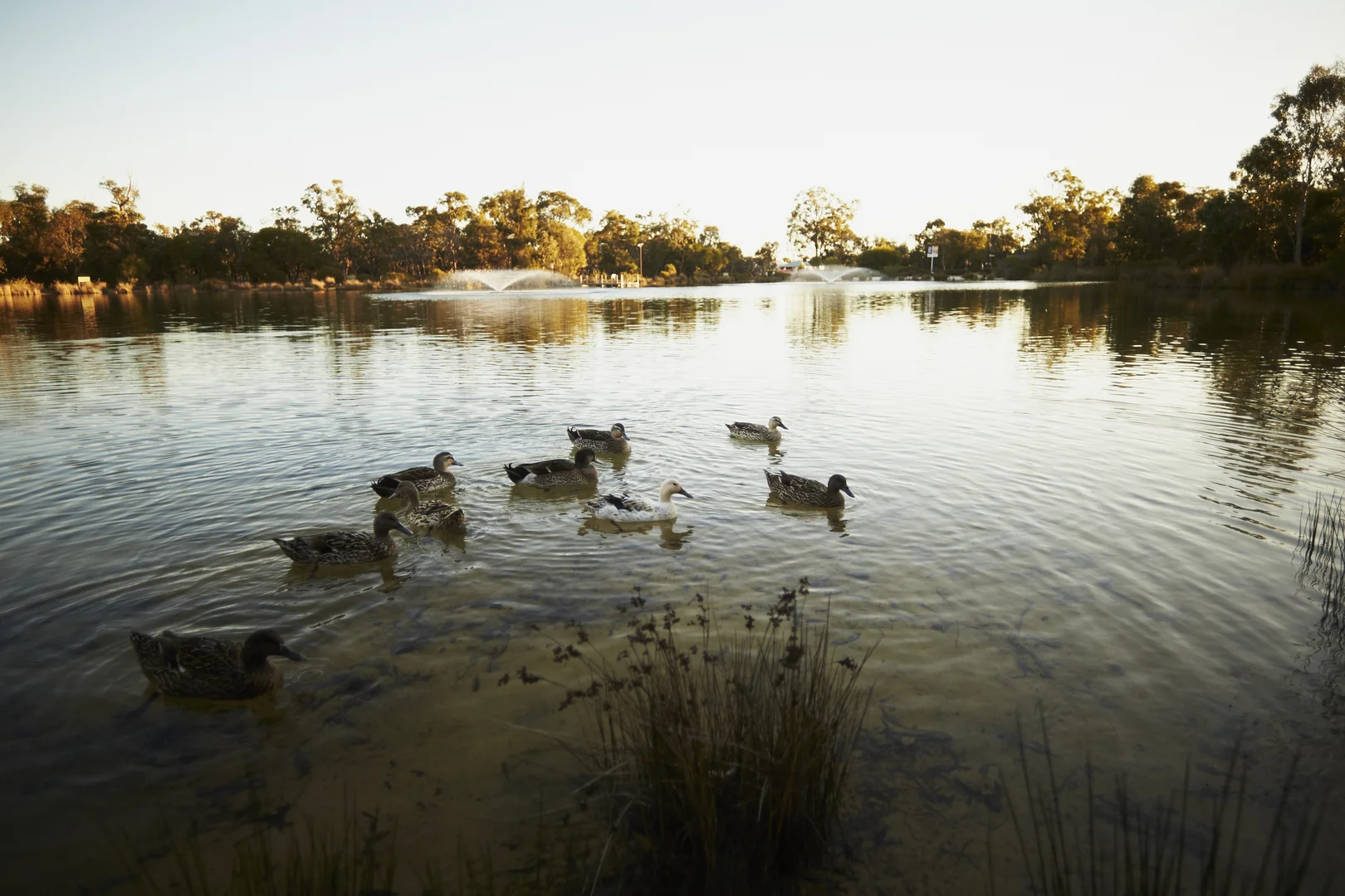 Additional image 22 of 353/Stage 1 Ironstone Lane, Coodanup WA 6210
