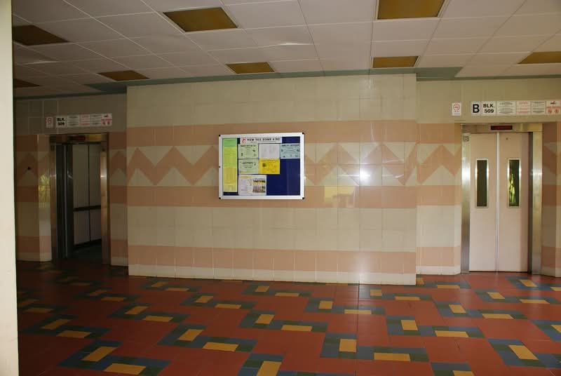 Additional image 15 of 509 Choa Chu Kang Street 51