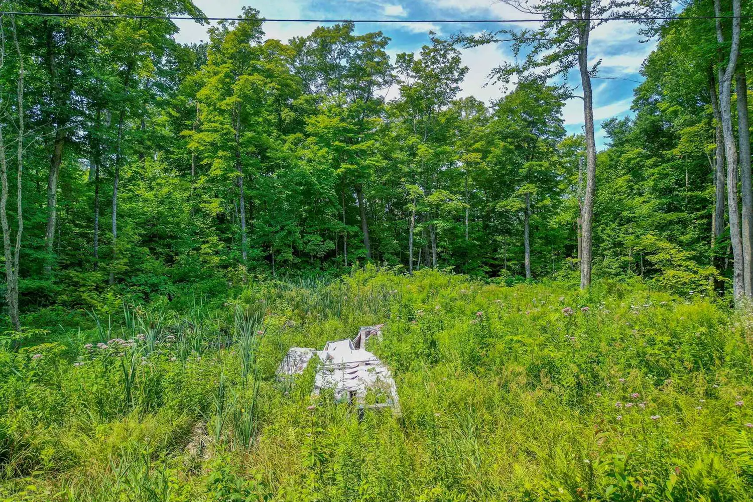 Additional image 7 of 17 Cornflower Road