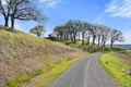 Additional image 9 of 11250 Skaggs Springs Rd, Healdsburg, CA, 95448