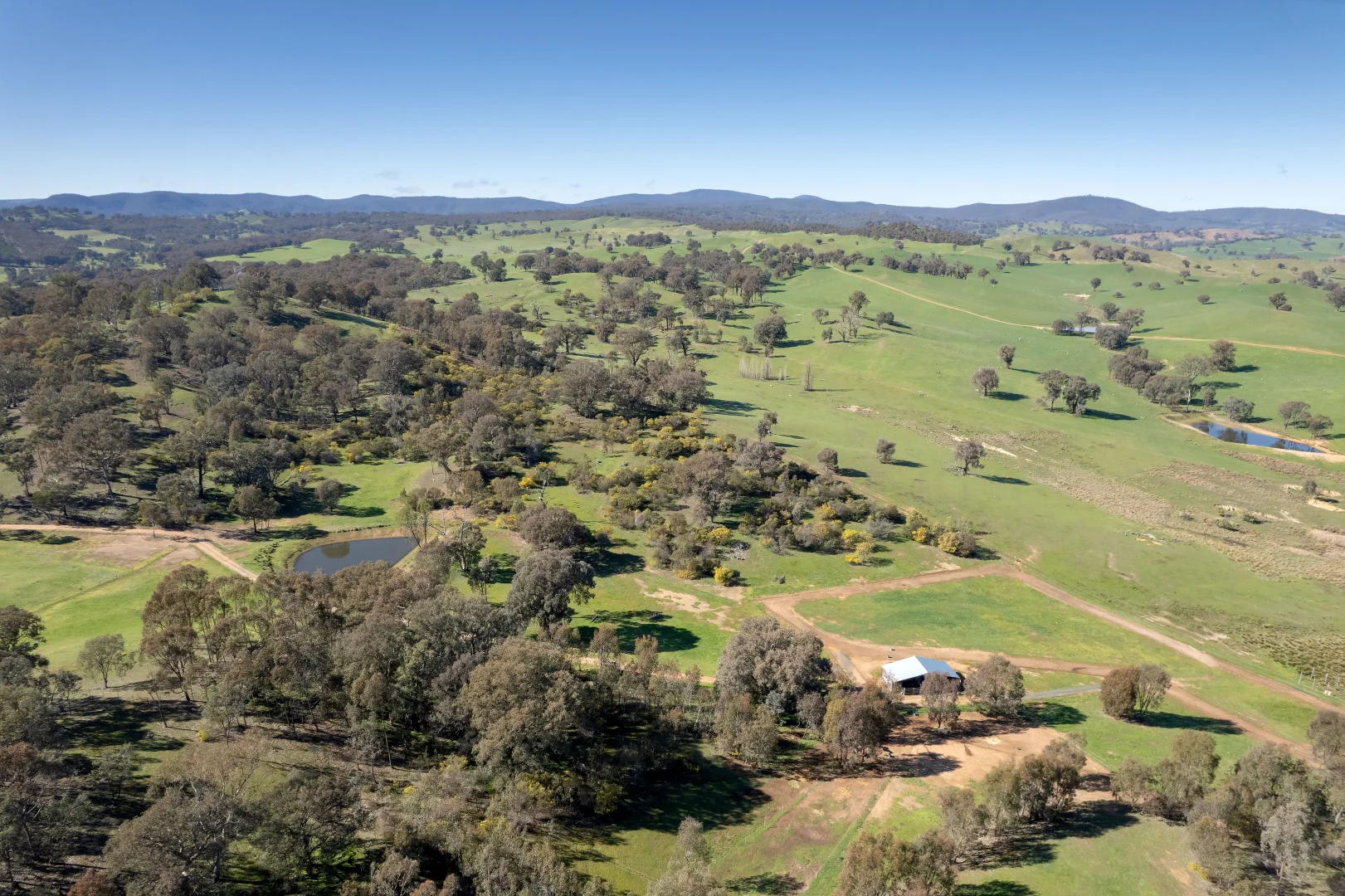 Additional image 11 of 13407 Hume Highway, Woomargama NSW 2644