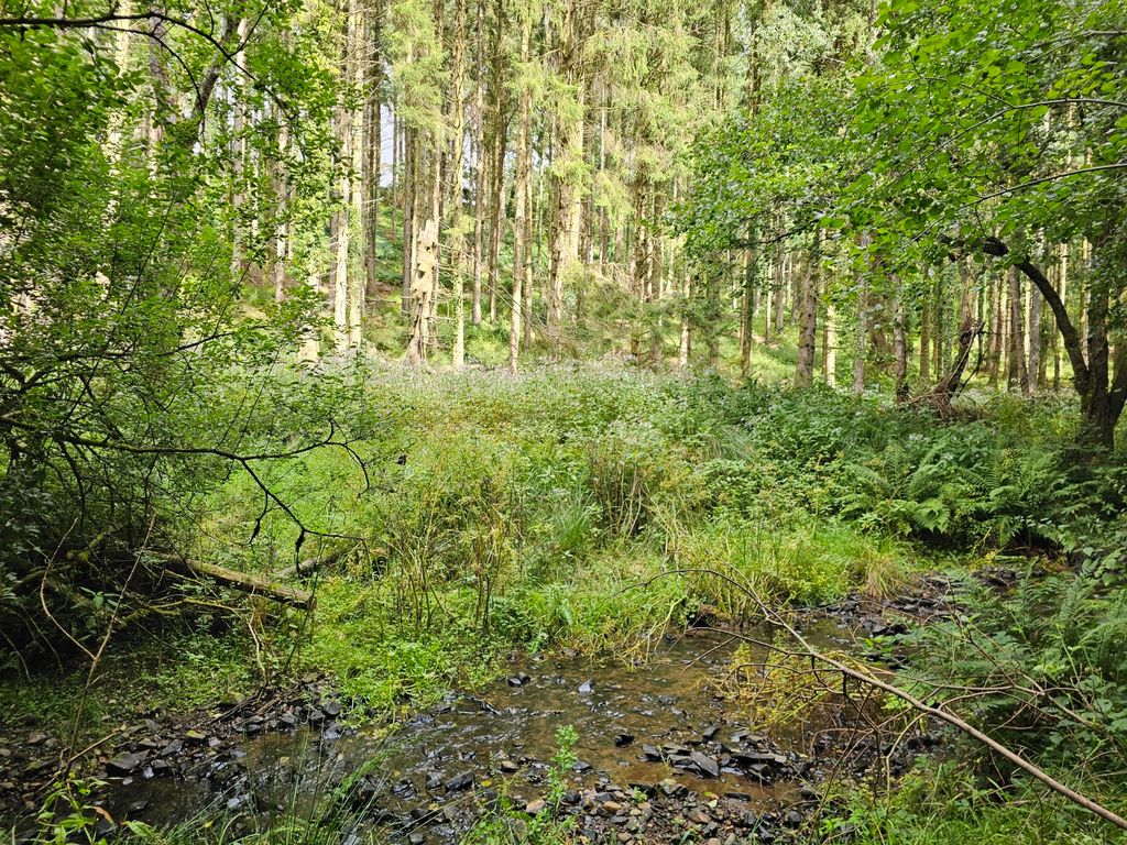 Land for saleStoodleigh, Tiverton, Devon EX16 photo 3