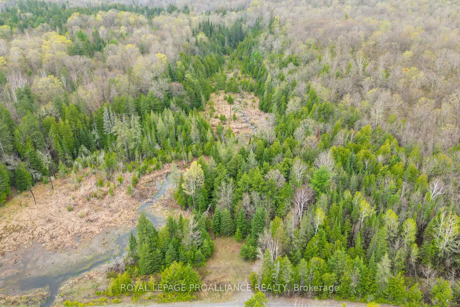 0 Spry Settlement Road photo 2