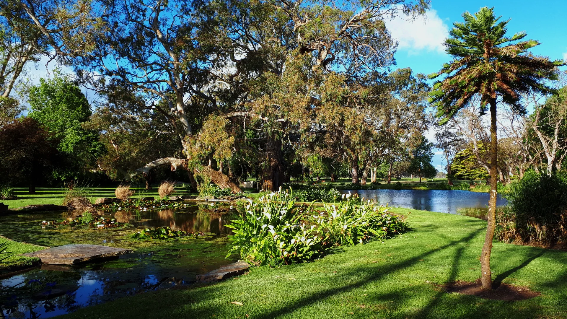 Additional image 17 of 344 Krongart Road, Penola SA 5277