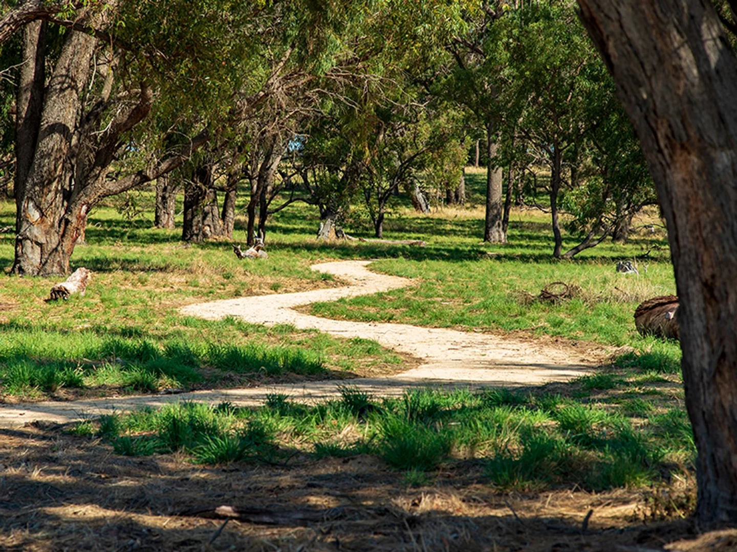 Additional image 31 of Lot 238 Gibberd Street, Baldivis WA 6171