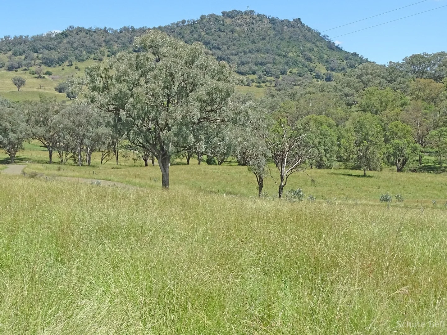 Additional image 5 of Tamworth NSW 2340