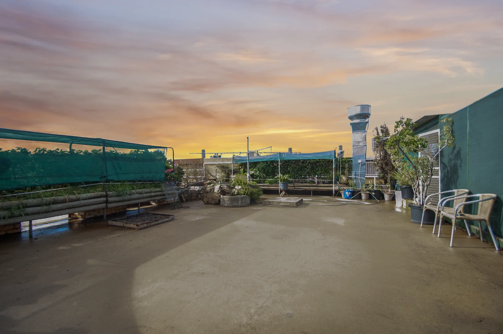 Additional image 19 of 12 Probert Avenue, Griffith NSW 2680