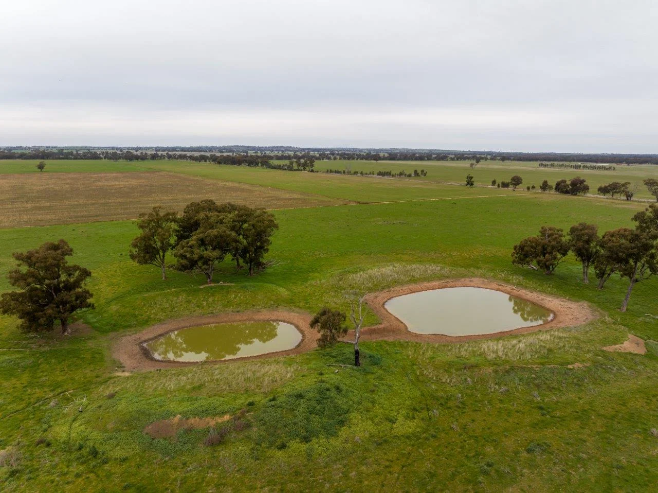 Additional image 5 of 'Lyndhurst' 639 Rannock Road, Coolamon NSW 2701