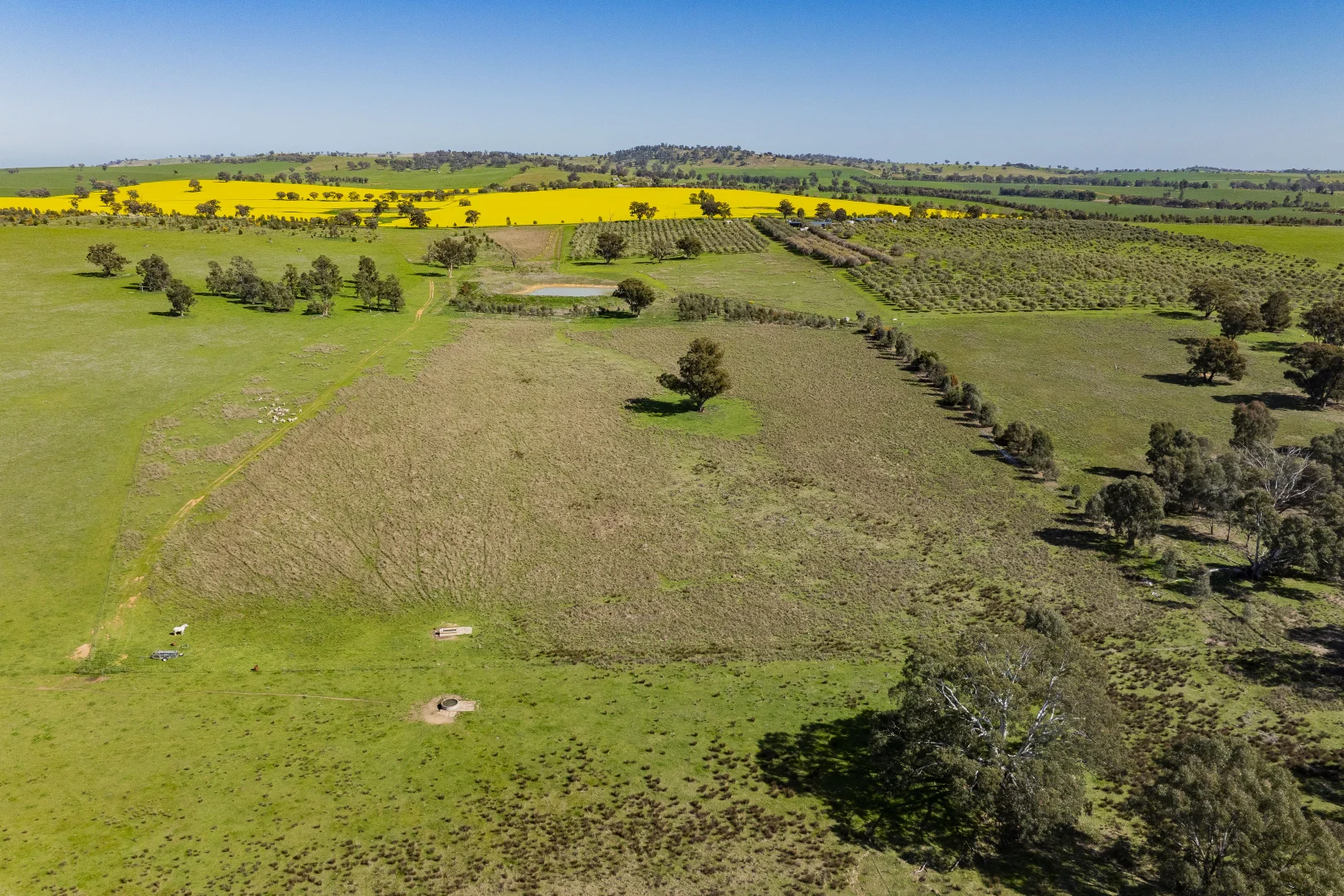 Additional image 92 of 277 Cloughs Road, Yarragundry NSW 2650