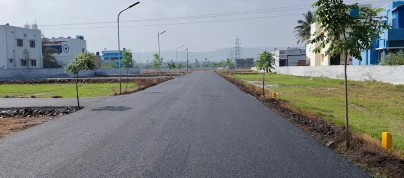 Additional image 3 of Paravai, Madurai