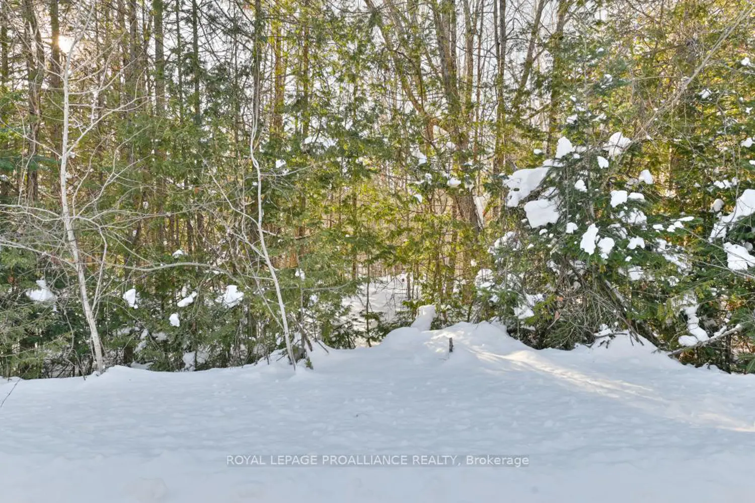 0 Swinburne Lane photo 2
