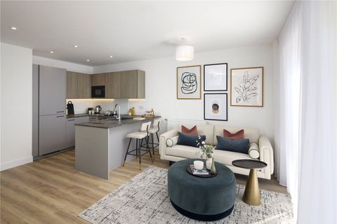 Catkin Road, London NW9, New home