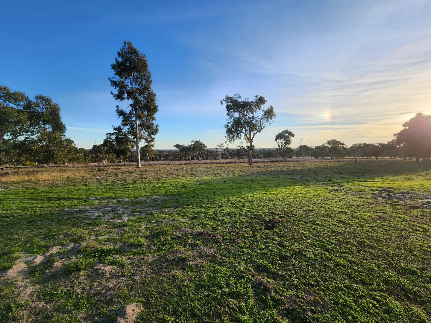 Additional image 6 of 6465 Riddoch Highway, Padthaway SA 5271