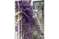Additional image 44 of 2161 48th Ave, Oakland, CA, 94601